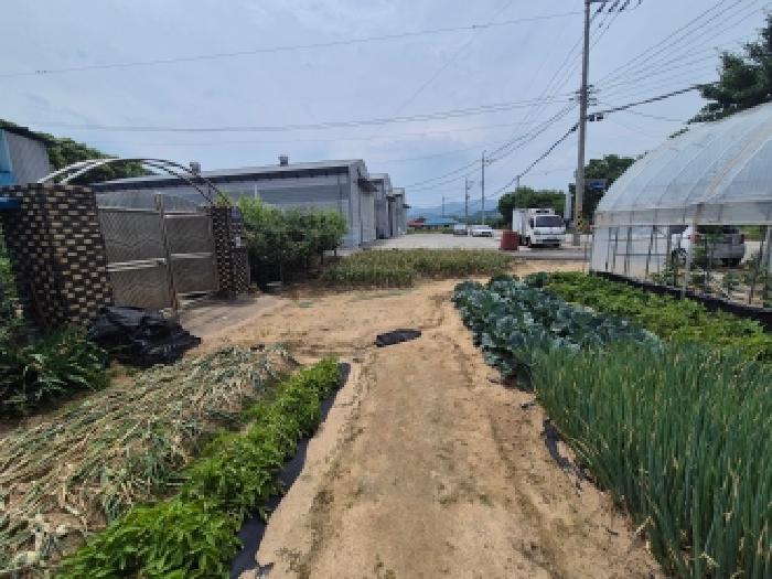세종 장군면 단독주택 경매 물건 사진