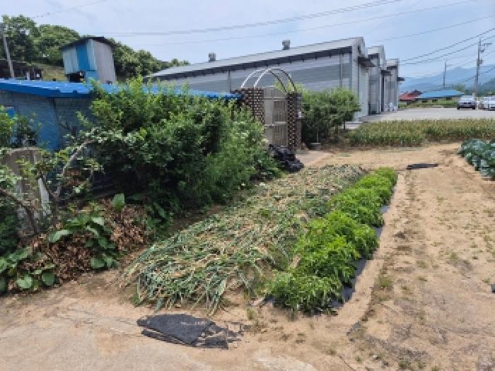 세종 장군면 단독주택 경매 물건 사진 5 · 2026타경70