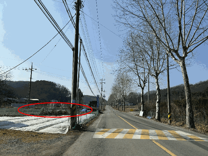 세종 연서면 전 경매 물건 사진 5 · 2026타경80