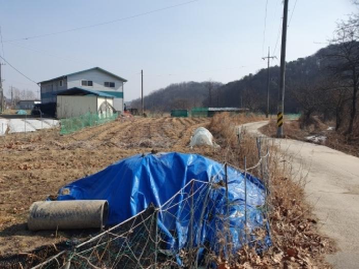 세종 연서면 전 경매 물건 사진
