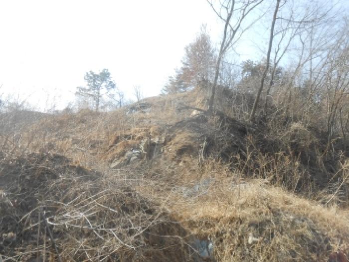 세종 연기면 임야 경매 물건 사진 3 · 2026타경88