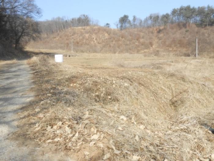 세종 전동면 전 경매 물건 사진