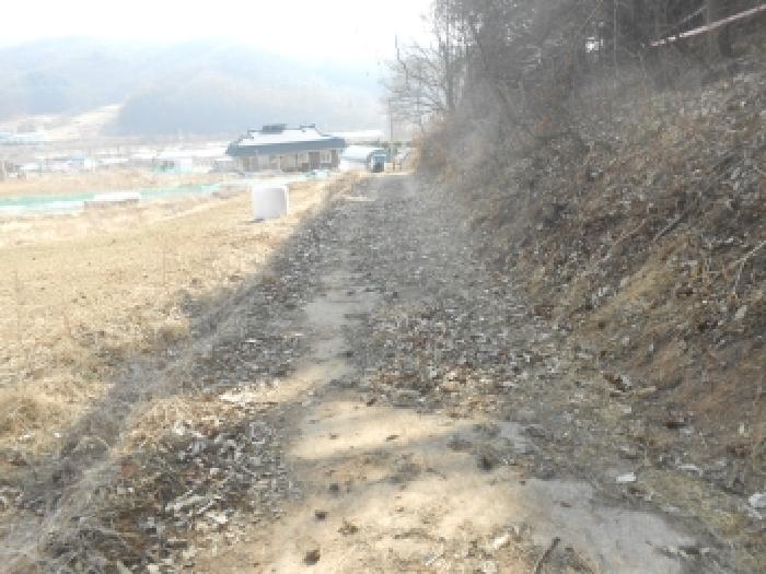 세종 전동면 전 경매 물건 사진 5 · 2026타경93