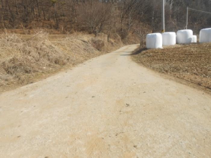 세종 전동면 전 경매 물건 사진 6 · 2026타경93