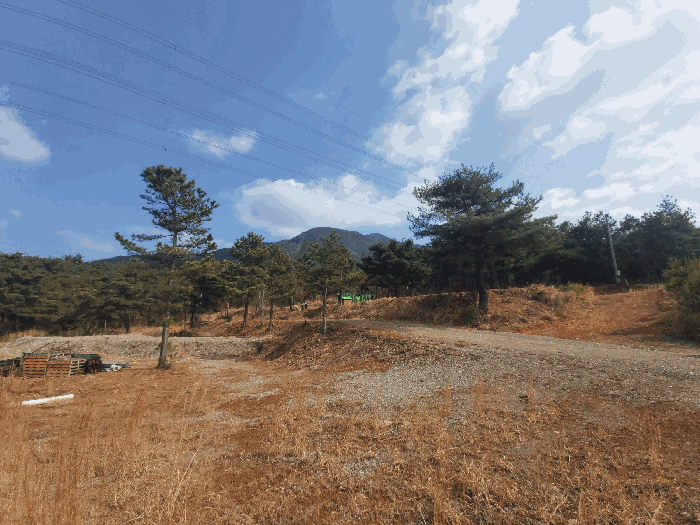 충청남도 보령시 동대동 1-8 임야 경매 물건 사진