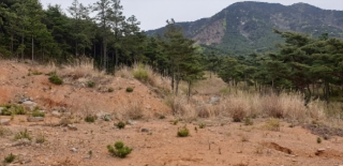 충남 보령시 동대동 임야 경매 물건 사진 2 · 2021타경1318