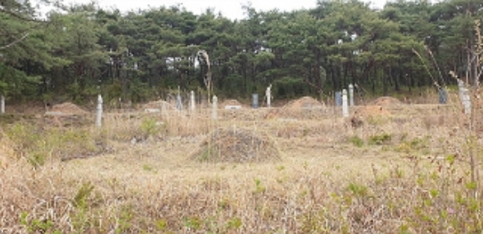충남 보령시 동대동 임야 경매 물건 사진 4 · 2021타경1318