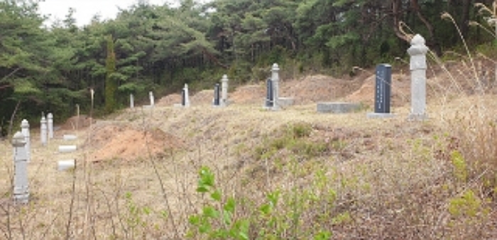충남 보령시 동대동 임야 경매 물건 사진 5 · 2021타경1318