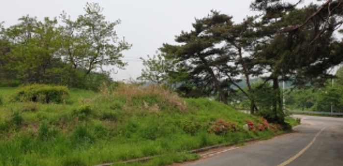 충남 홍성군 금마면 묘지관련시설 경매 물건 사진 5 · 2024타경17178