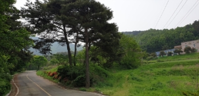 충남 홍성군 금마면 묘지관련시설 경매 물건 사진 6 · 2024타경17178