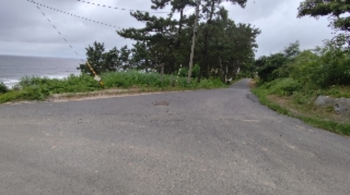 충남 보령시 오천면 전답 경매 물건 사진