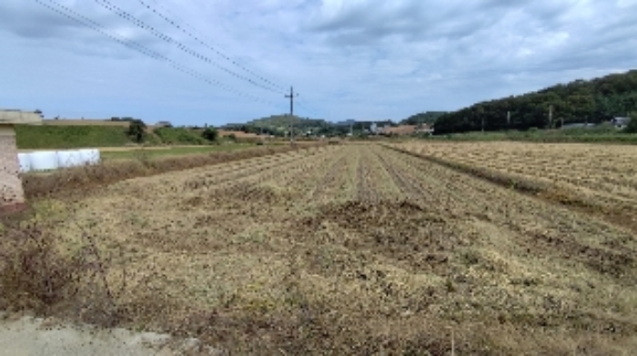 충남 보령시 천북면 전 경매 물건 사진