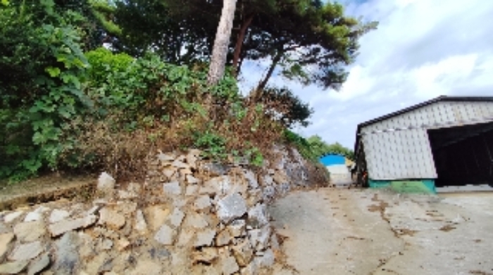 충남 보령시 천북면 전 경매 물건 사진 3 · 2024타경20921