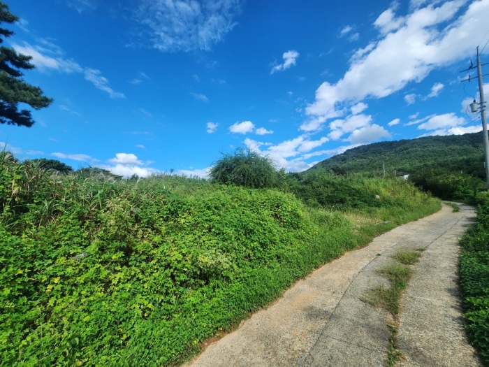 충청남도 보령시 남포면 제석리 153-7 전 경매 물건 사진