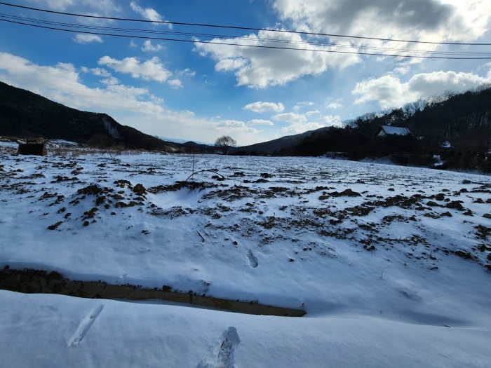 충남 예산군 덕산면 답 경매 물건 사진 5 · 2024타경88