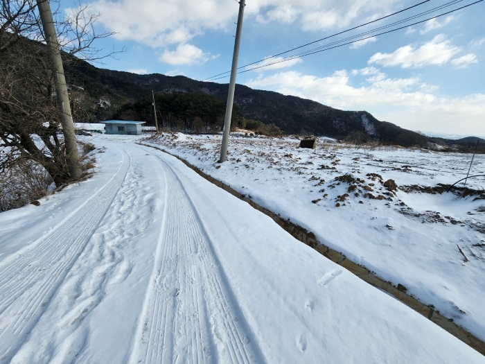 충남 예산군 덕산면 답 경매 물건 사진 6 · 2024타경88