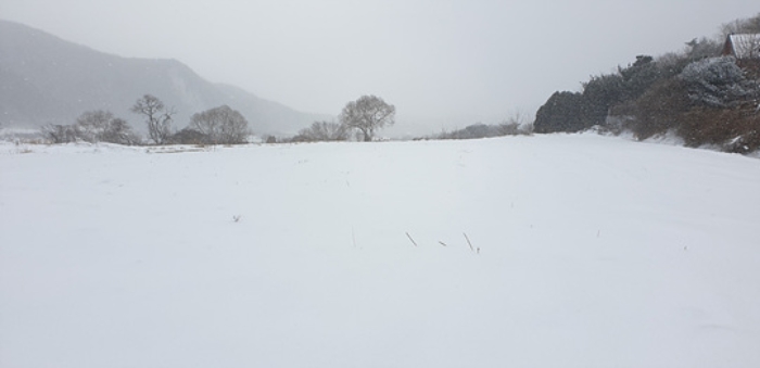 충남 예산군 덕산면 답 경매 물건 사진