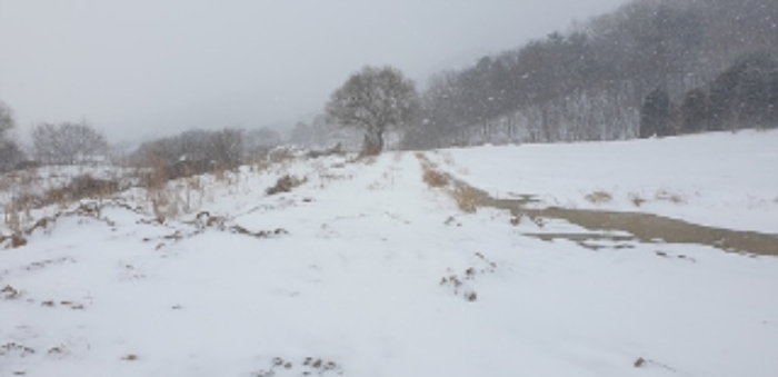 충남 예산군 덕산면 답 경매 물건 사진 3 · 2024타경88