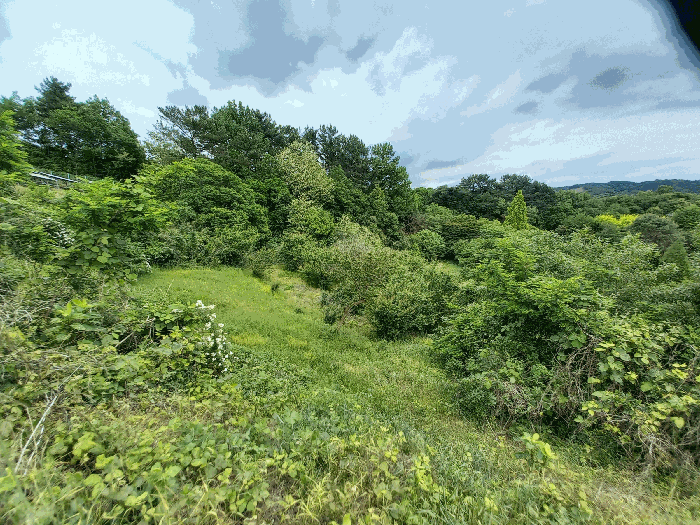 충청남도 서천군 기산면 화산리 182 전 경매 물건 사진