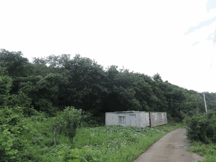 충청남도 보령시 화산동 산105-16 임야 경매 물건 사진