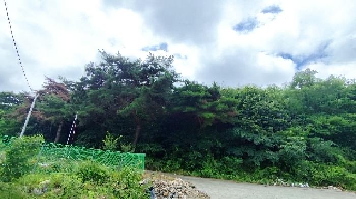 충남 보령시 화산동 임야 경매 물건 사진