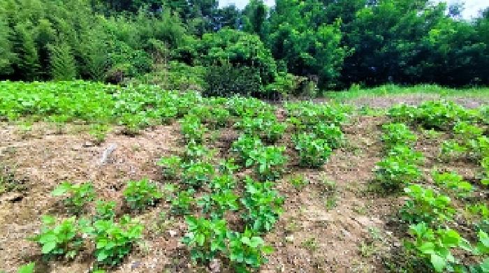 충남 홍성군 금마면 전 경매 물건 사진