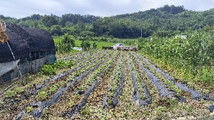 충남 홍성군 금마면 전 경매 물건 사진 3 · 2025타경1111