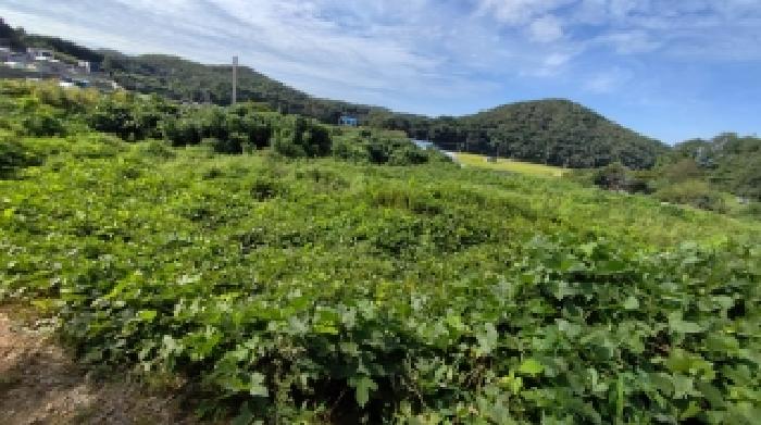 충남 보령시 천북면 대지 경매 물건 사진