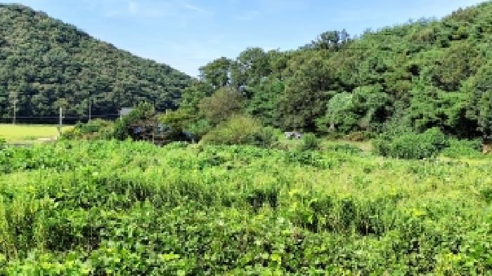 충남 보령시 천북면 대지 경매 물건 사진 2 · 2025타경1155