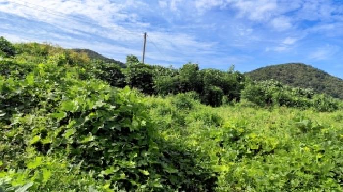 충남 보령시 천북면 대지 경매 물건 사진 4 · 2025타경1155