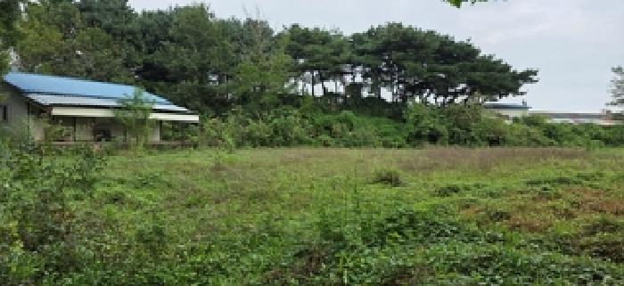 충남 홍성군 홍성읍 근린생활시설 경매 물건 사진
