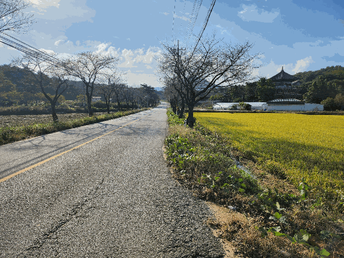 충청남도 예산군 덕산면 대동리 376 전답 경매 물건 사진