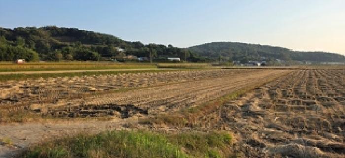 충남 예산군 덕산면 전답 경매 물건 사진 2 · 2025타경1169
