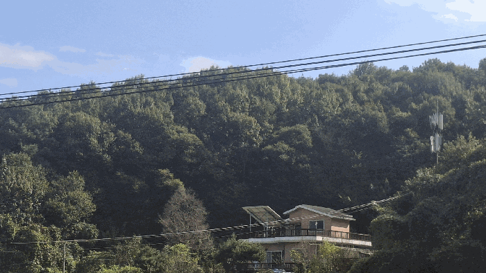 충남 예산군 봉산면 임야 경매 물건 사진 4 · 2025타경1176
