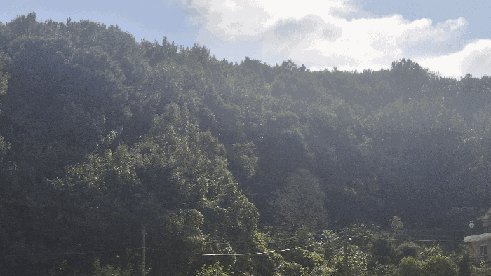 충남 예산군 봉산면 임야 경매 물건 사진 5 · 2025타경1176