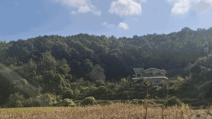 충남 예산군 봉산면 임야 경매 물건 사진 6 · 2025타경1176