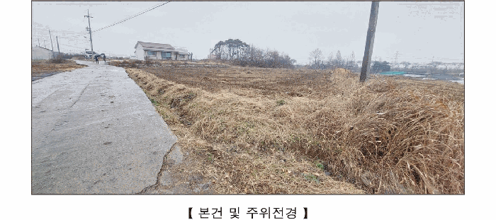 충청남도 예산군 덕산면 읍내리 251-272 전답 경매 물건 사진