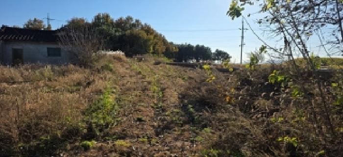 충남 예산군 신암면 전 경매 물건 사진 2 · 2025타경1181