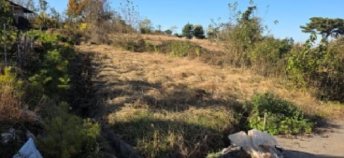 충남 예산군 신암면 전 경매 물건 사진 3 · 2025타경1181