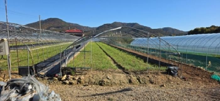 충남 예산군 예산읍 전 경매 물건 사진 4 · 2025타경1188