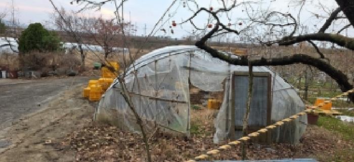 충남 예산군 예산읍 단독주택다가구 경매 물건 사진 2 · 2025타경1201
