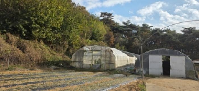 충남 홍성군 결성면 목장용지 경매 물건 사진 2 · 2025타경1207