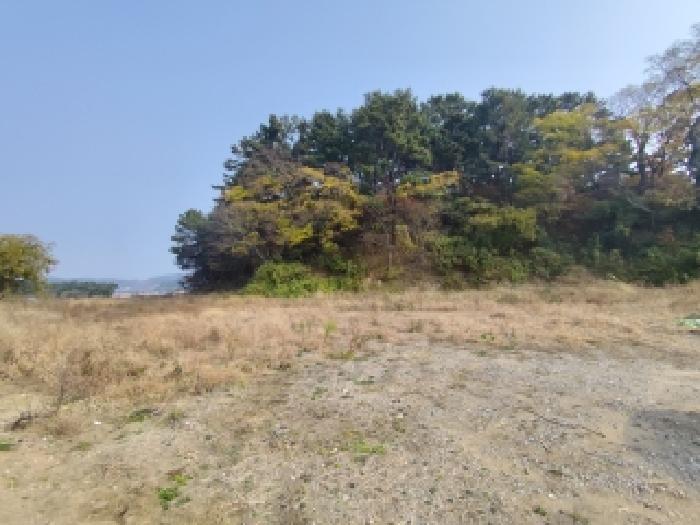 충남 서천군 서면 전 경매 물건 사진 5 · 2025타경1213