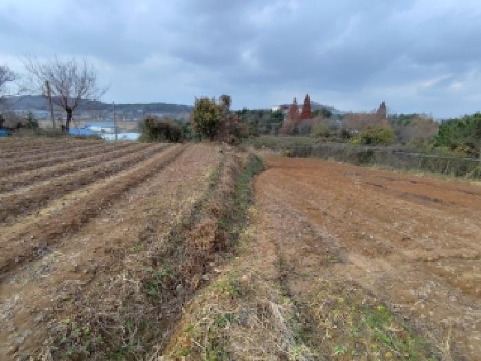 충남 보령시 주교면 임야 경매 물건 사진 2 · 2025타경1216