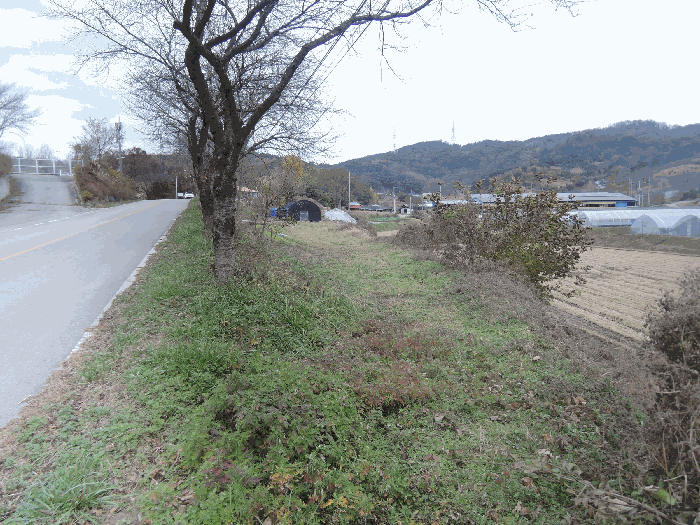 충남 홍성군 구항면 전답 경매 물건 사진 5 · 2025타경1224