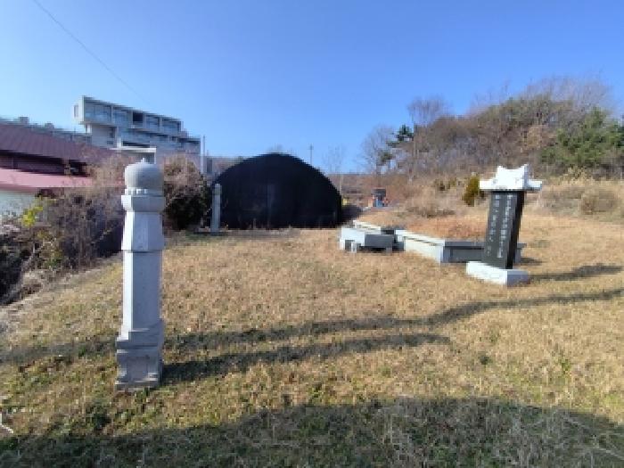 충남 보령시 웅천읍 대지,임야,전답 경매 물건 사진