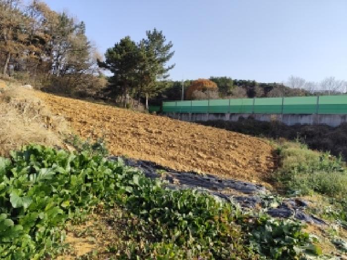 충남 보령시 청소면 전 경매 물건 사진 2 · 2025타경1229