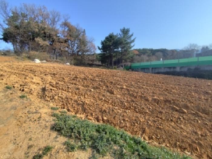 충남 보령시 청소면 전 경매 물건 사진 3 · 2025타경1229