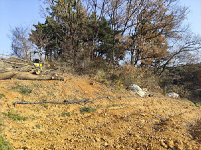 충남 보령시 청소면 전 경매 물건 사진 4 · 2025타경1229