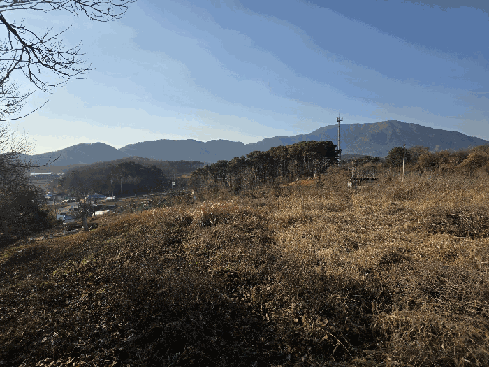 충남 홍성군 장곡면 대지,임야,전답 경매 물건 사진 6 · 2025타경1237